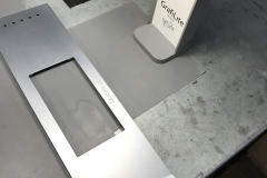 CH Precision Visit in Switzerland (44)
