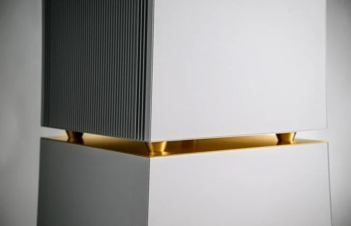 Goldmund Telos 9800, fins and gold trim